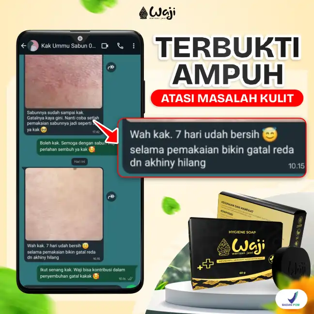 T2.webp
