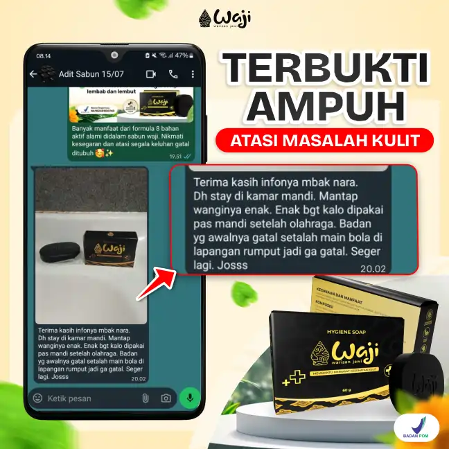T6.webp