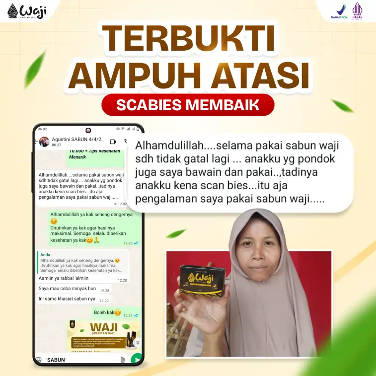 9.webp